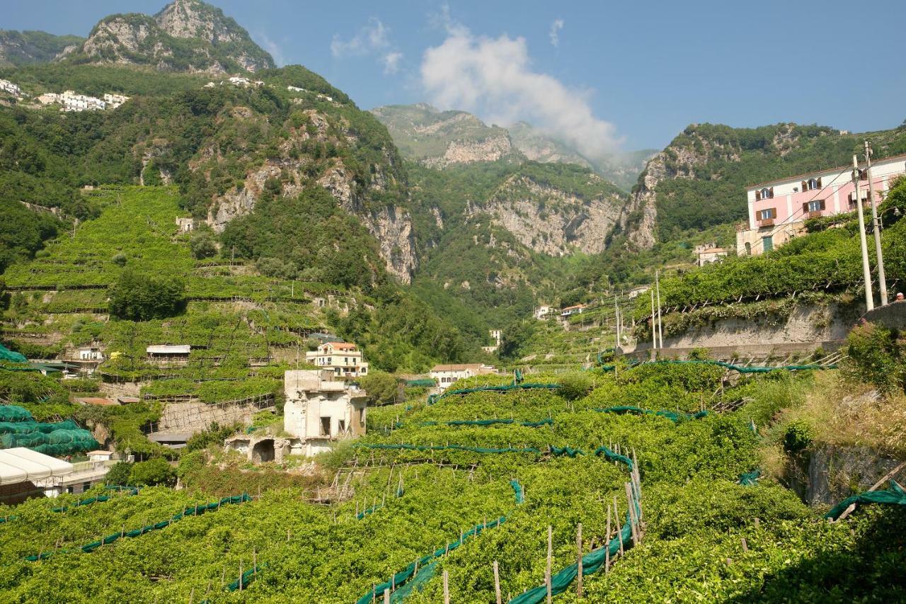 Villa Pricitella Amalfi Exterior foto